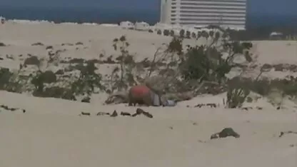 Evitare di persone come il golf così divertente video lesbiche xxx Fuori casa
